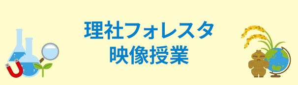 理社フォレスタ映像授業